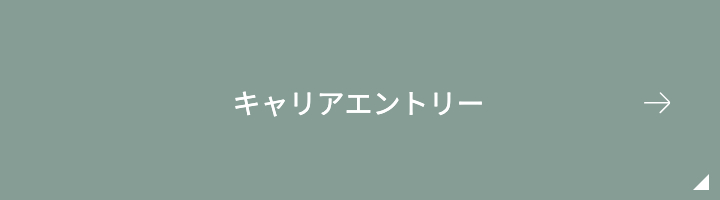 キャリアエントリー